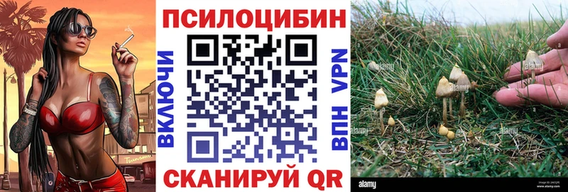 МЕГА сайт  Жердевка  Псилоцибиновые грибы GOLDEN TEACHER  дарнет шоп 